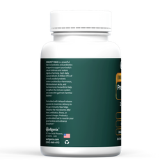 Immunity Max Pre + Probiotic Formula